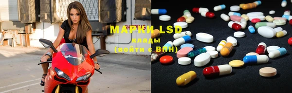 ГАЛЛЮЦИНОГЕННЫЕ ГРИБЫ Медногорск