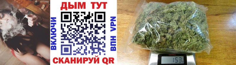 Купить закладки  Хасавюрт  Конопля тримм 